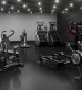 Тренажер для отработки ударов в боксе BOXMASTER QUAD PACKAGE