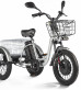 Трёхколёсный электровелосипед Eltreco Porter Fat 500